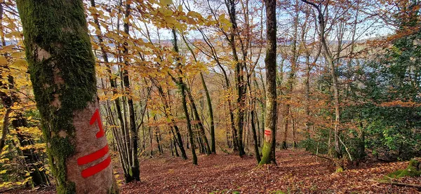 parcellaire-FONTENU 4