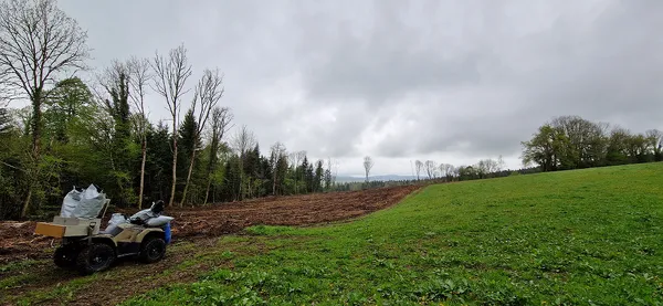 plantation-Le Moutoux