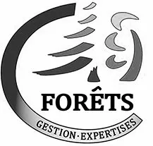 C Forêts